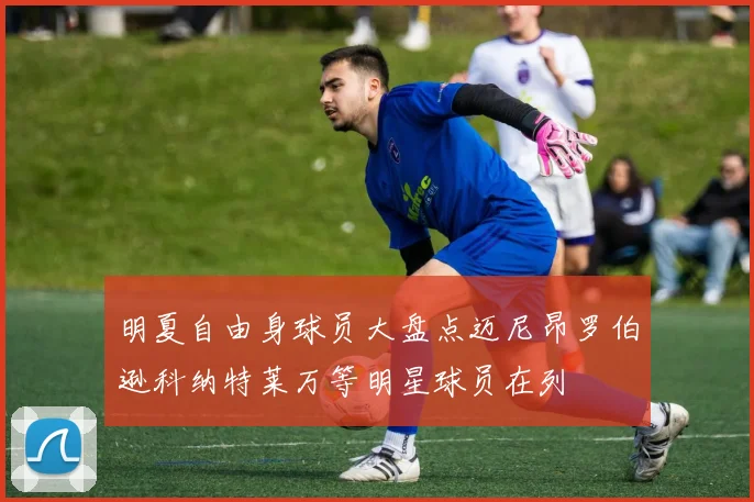 明夏自由身球员大盘点迈尼昂罗伯逊科纳特莱万等明星球员在列