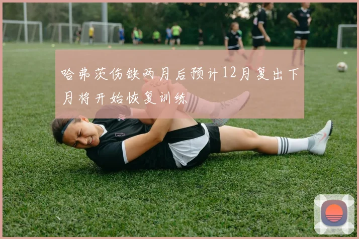 哈弗茨伤缺两月后预计12月复出下月将开始恢复训练