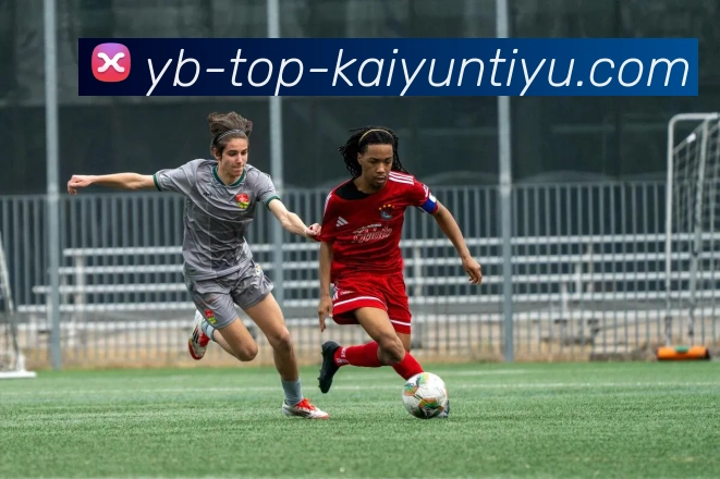 开云体育平台生态图