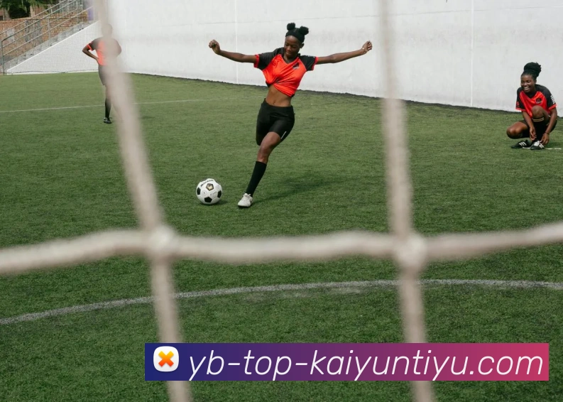 开云体育APP 封面图