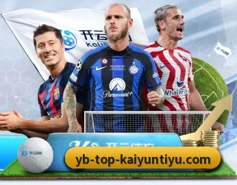 开云体育 APP 深度功能 | kaiyun